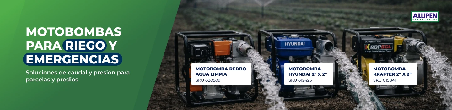 Motobombas de caudal y presión para riego y uso agrícola en Allipen