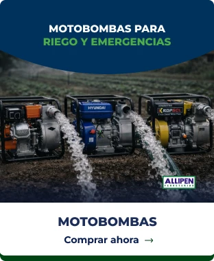 Motobombas de caudal y presión para riego y uso agrícola en Allipen