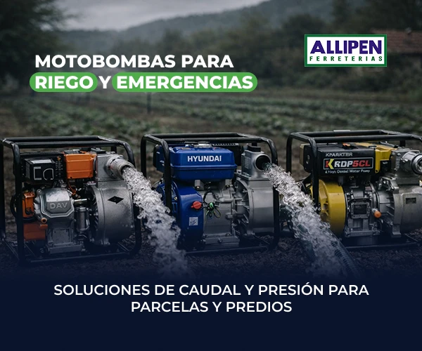 Motobombas de caudal y presión para riego y uso agrícola en Allipen