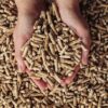 Bolsa de pellet Traiguén Energy 15 kg certificación ENplus A1 para estufas a pellet