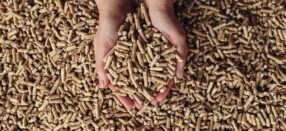 Bolsa de pellet Traiguén Energy 15 kg certificación ENplus A1 para estufas a pellet